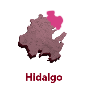 Hidalgo