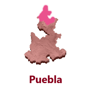 Puebla