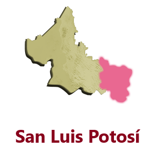 San Luis Potosí