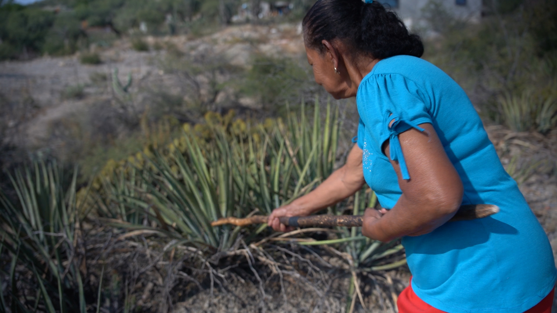 Josefina Huerta Esquivel, Tejedora de ixtle de Jaumave, Tamaulipas